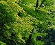 m04