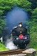 r19