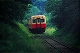 r21