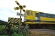r25