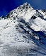 y02