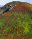 y09